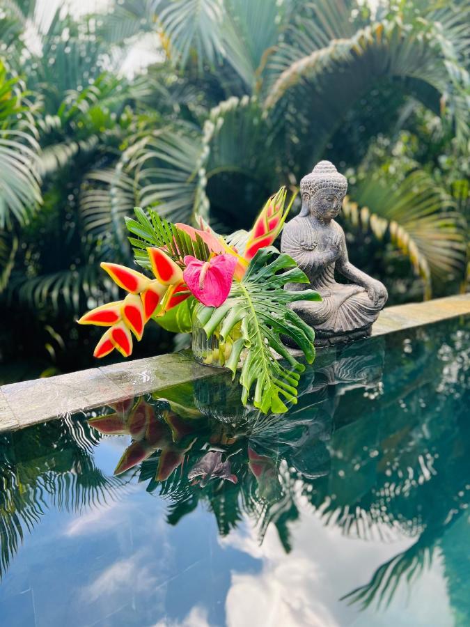 O Palm : Dans Un Petit Ecrin De Verdure Saint-Joseph Exterior foto